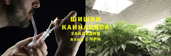 шишки Приозерск