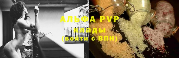 ПСИЛОЦИБИНОВЫЕ ГРИБЫ Алзамай