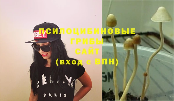 спиды Алексин