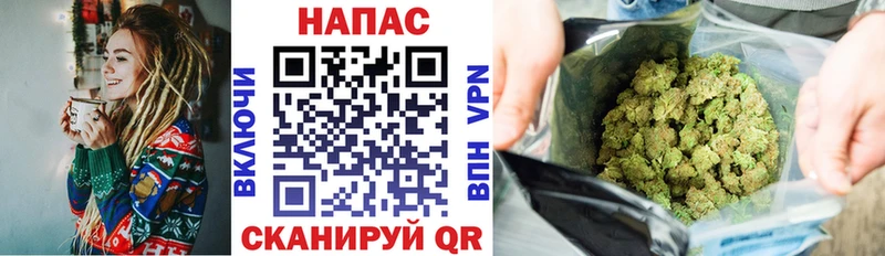 hydra вход  Грязовец  Шишки марихуана Amnesia 